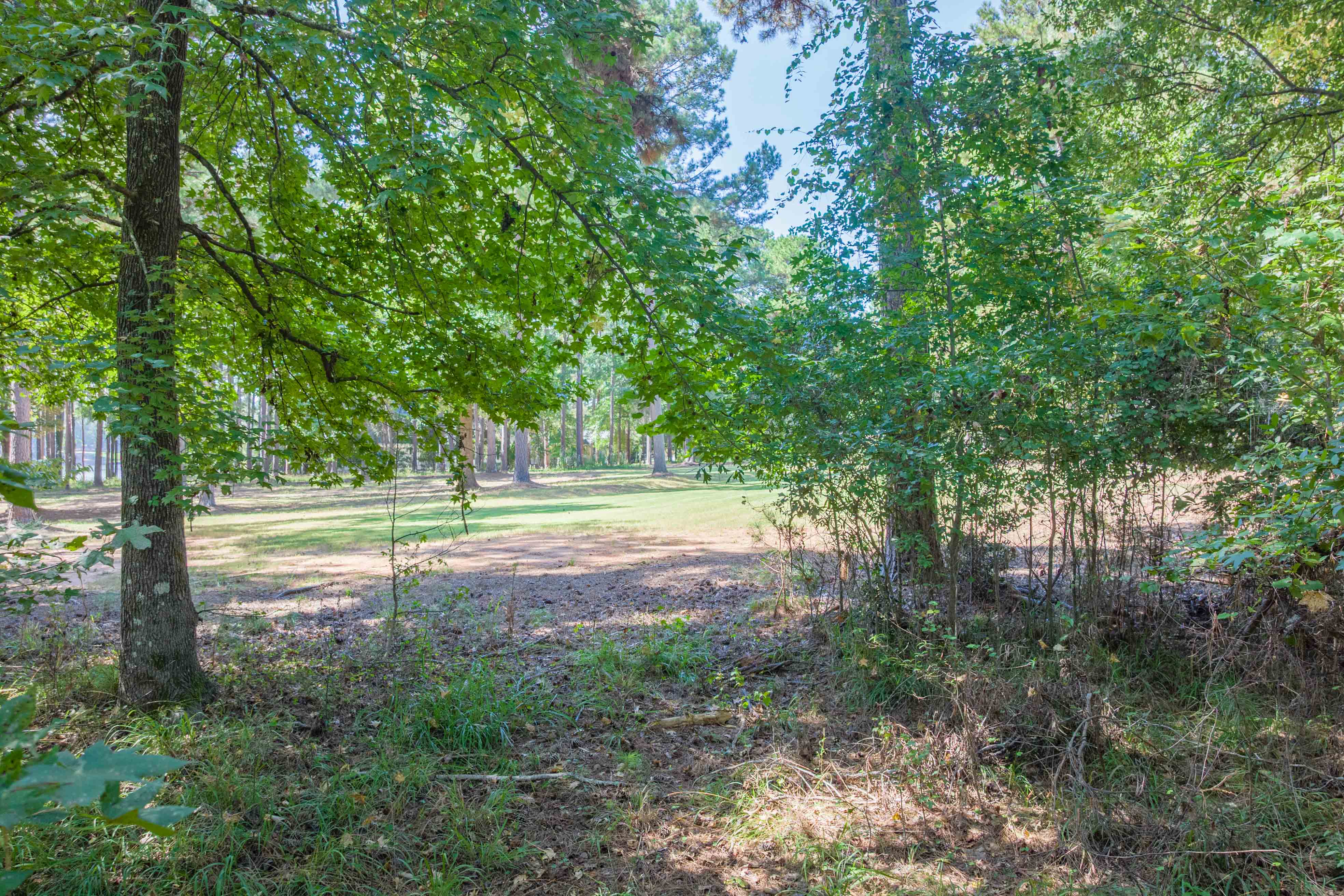 132 Porterfield Drive image 9